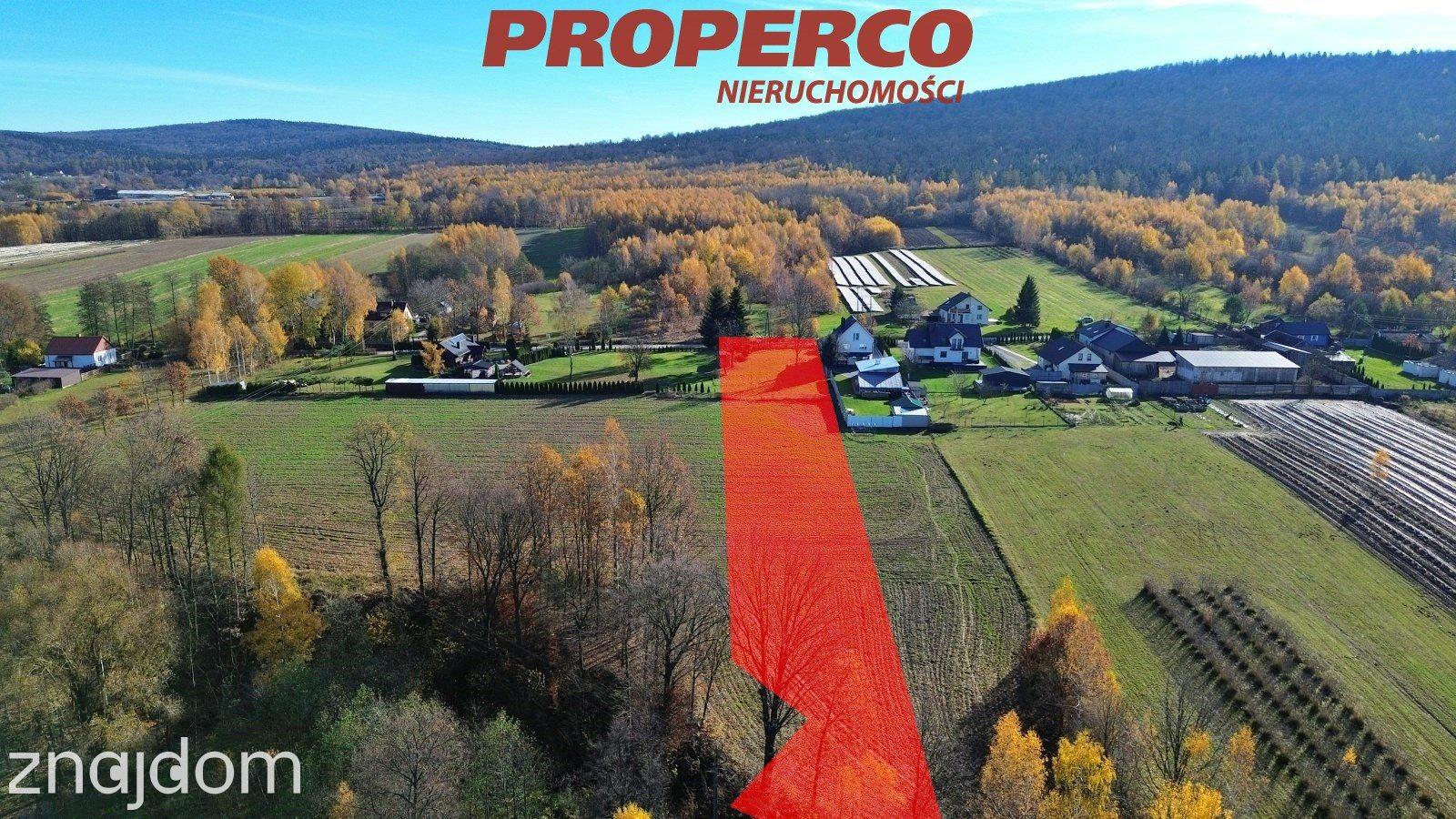 Działka z WZ, pow. 5700m2, Jeleniów, Nowa Słupia - zdjęcie 3
