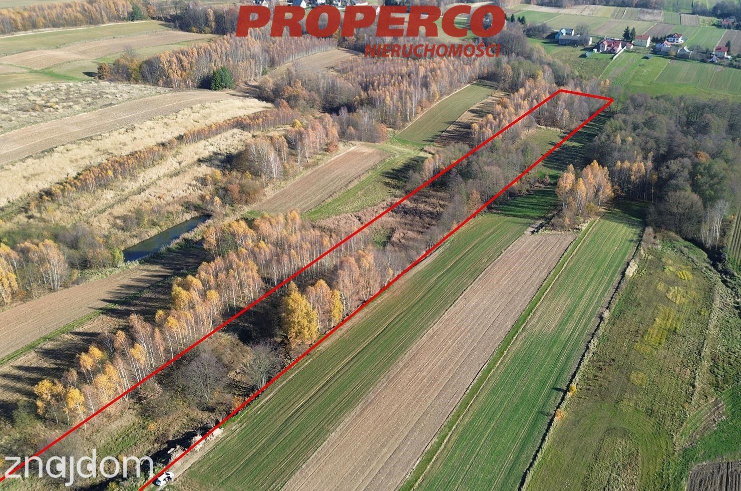 Działka 14452m2 Bęczków gmina Górno - zdjęcie 7
