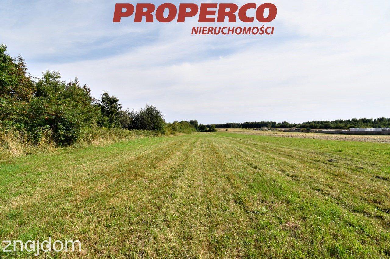 Działka pod Kielcami z MPZP, 9051 m2, Radlin,Górno - zdjęcie 2