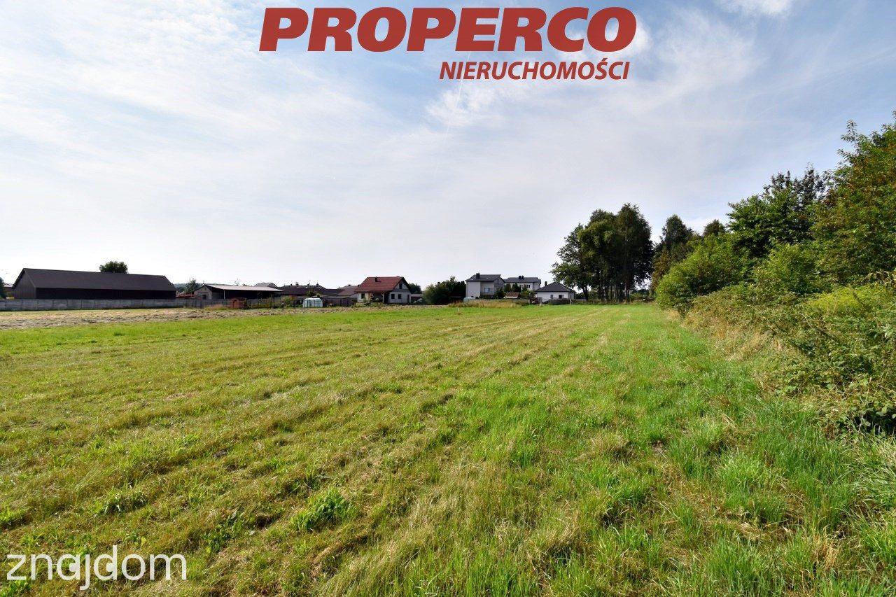 Działka pod Kielcami z MPZP, 9051 m2, Radlin,Górno - zdjęcie 3