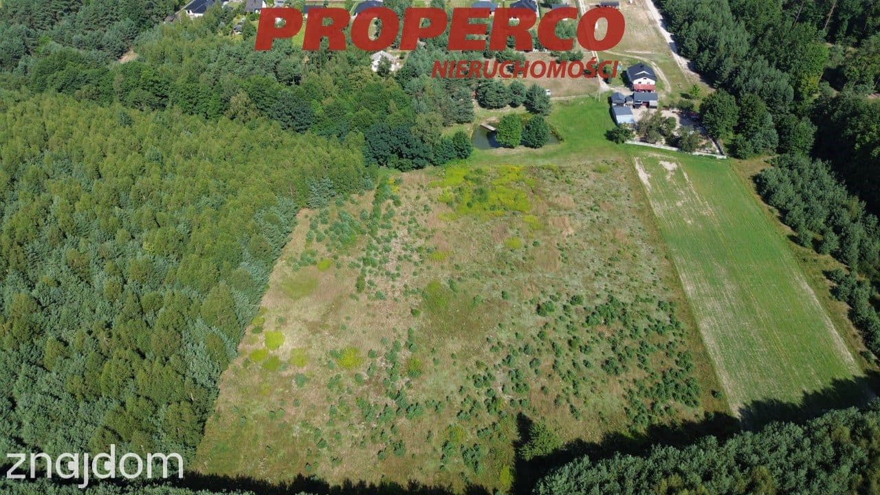 Działka 1708 m2, Kolonia Bogoria, MPZP - zdjęcie 2