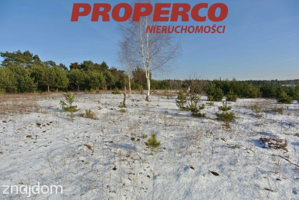 Działka 1080 m2, Wola Morawicka (gm. Morawica) - zdjęcie 3