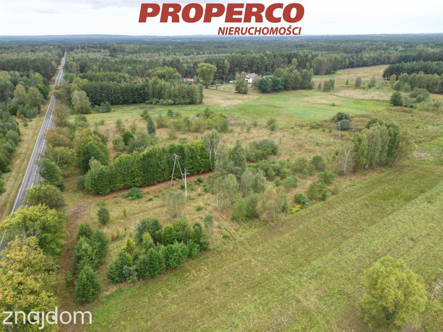 Działka pow.3200m2,Dęba Kolonia,gm.Ruda Maleniecka - zdjęcie 3