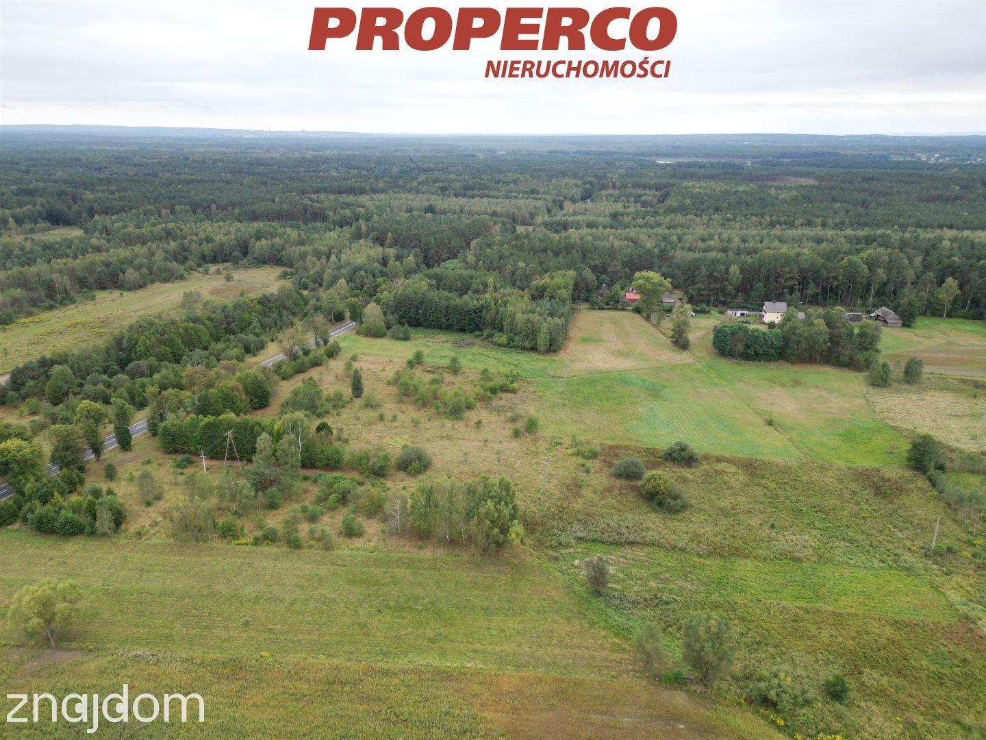 Działka pow.3200m2,Dęba Kolonia,gm.Ruda Maleniecka - zdjęcie 7