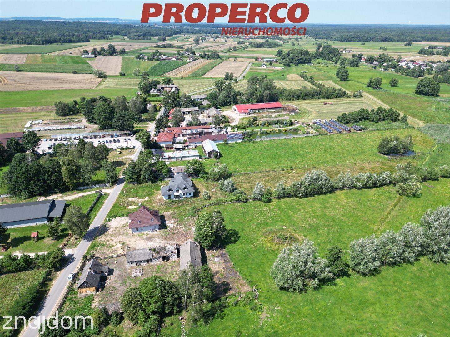 Działka pow. 7100 m2, Pijanów, gm. Słupia Konecka - zdjęcie 10