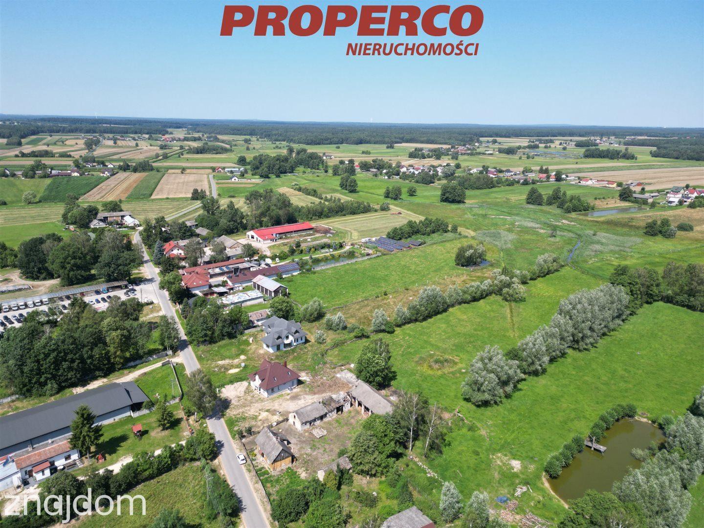 Działka pow. 7100 m2, Pijanów, gm. Słupia Konecka - zdjęcie 11