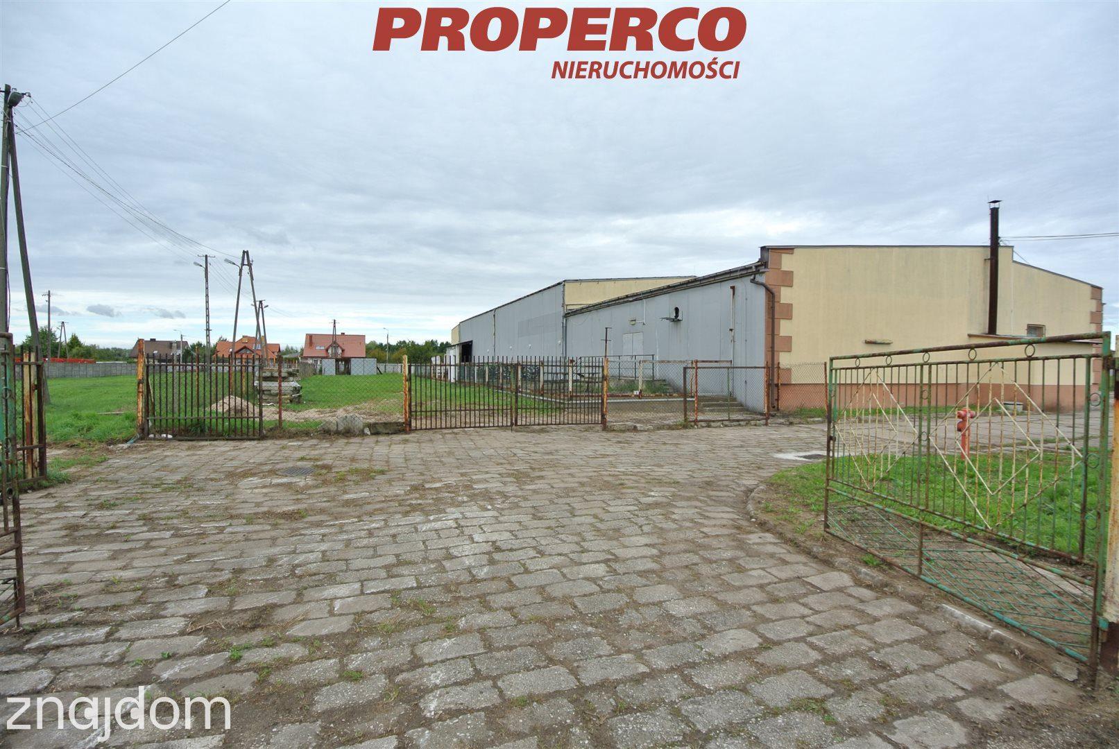 Hala 1200m2, Łagiewniki, Busko-Zdrój - zdjęcie 4