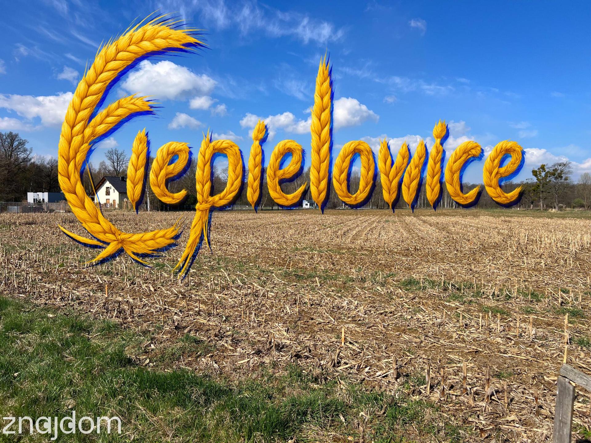 Działki 9-10 a Ciepielowice | Blisko Lasu i Opola