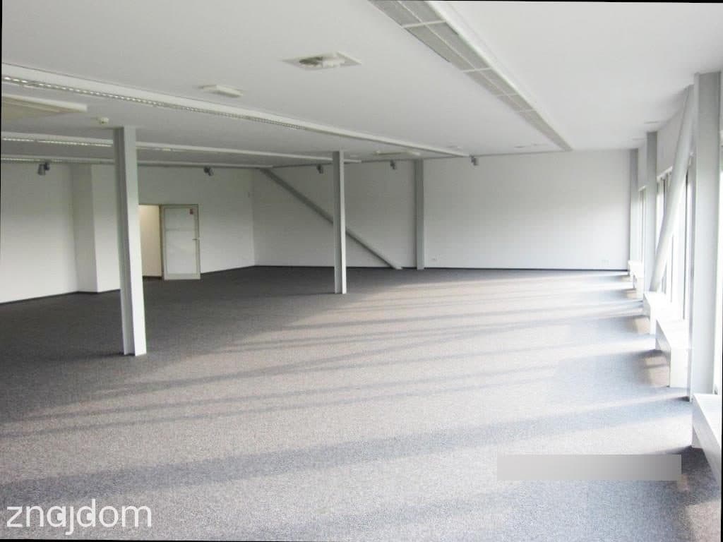 Lokal o powierzchni 418m2 do wynajęcia. - zdjęcie 2