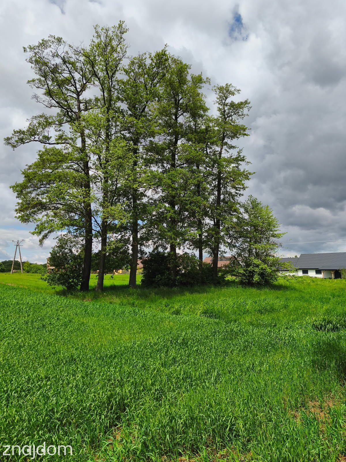Dziekaństwo - 24,93 arów