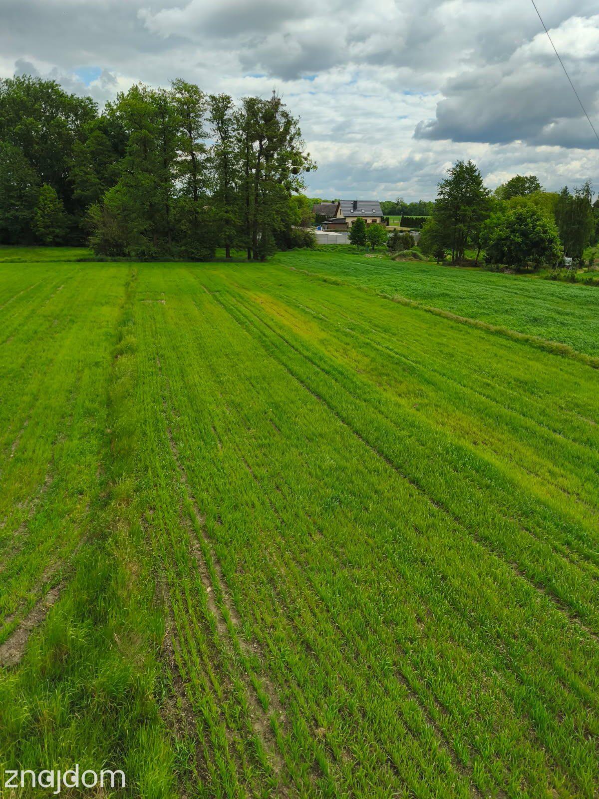 Dziekaństwo - 24,93 arów - zdjęcie 2