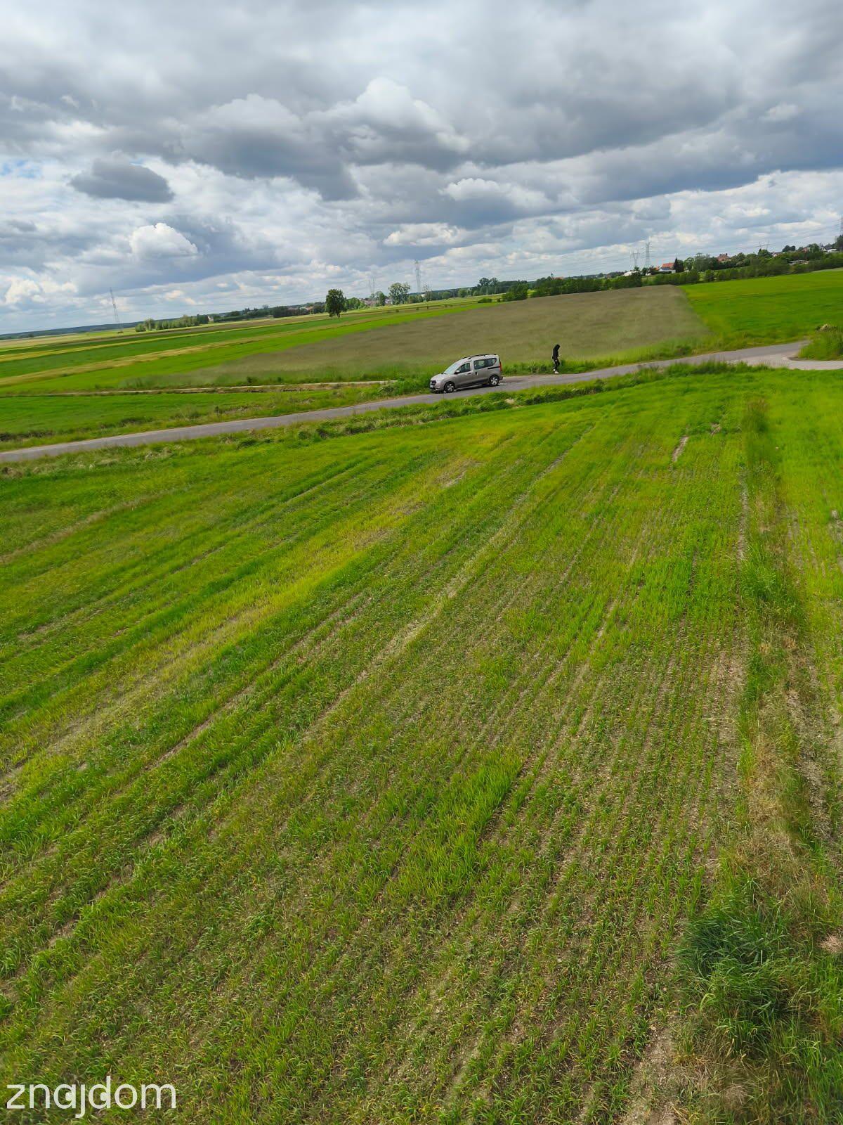 Dziekaństwo - 24,93 arów - zdjęcie 3