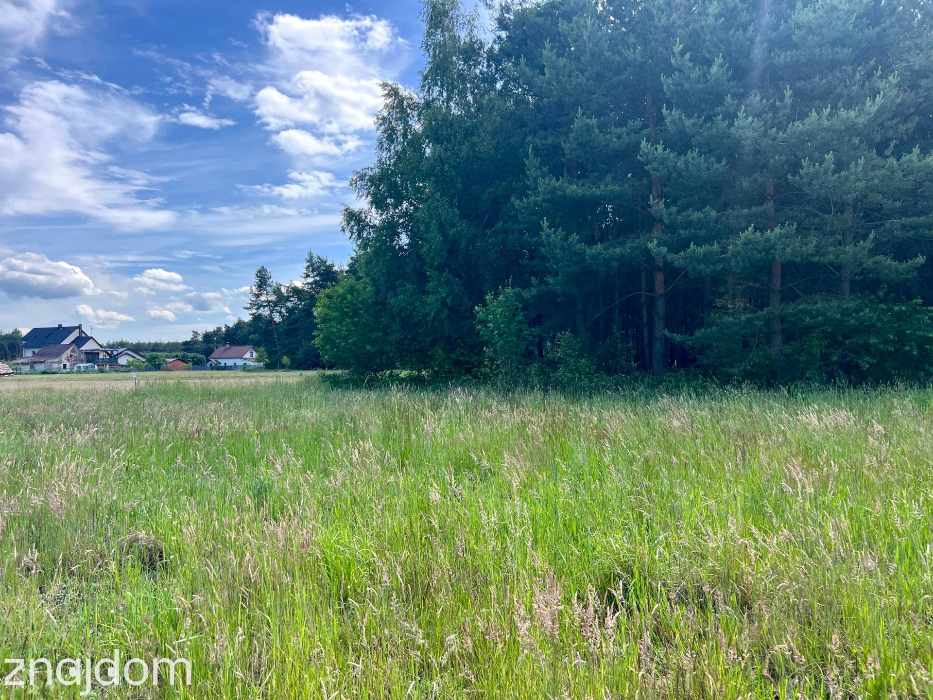 Pustków gm. Ozimek| 36a pod lasem| doprowadzone media - zdjęcie 2