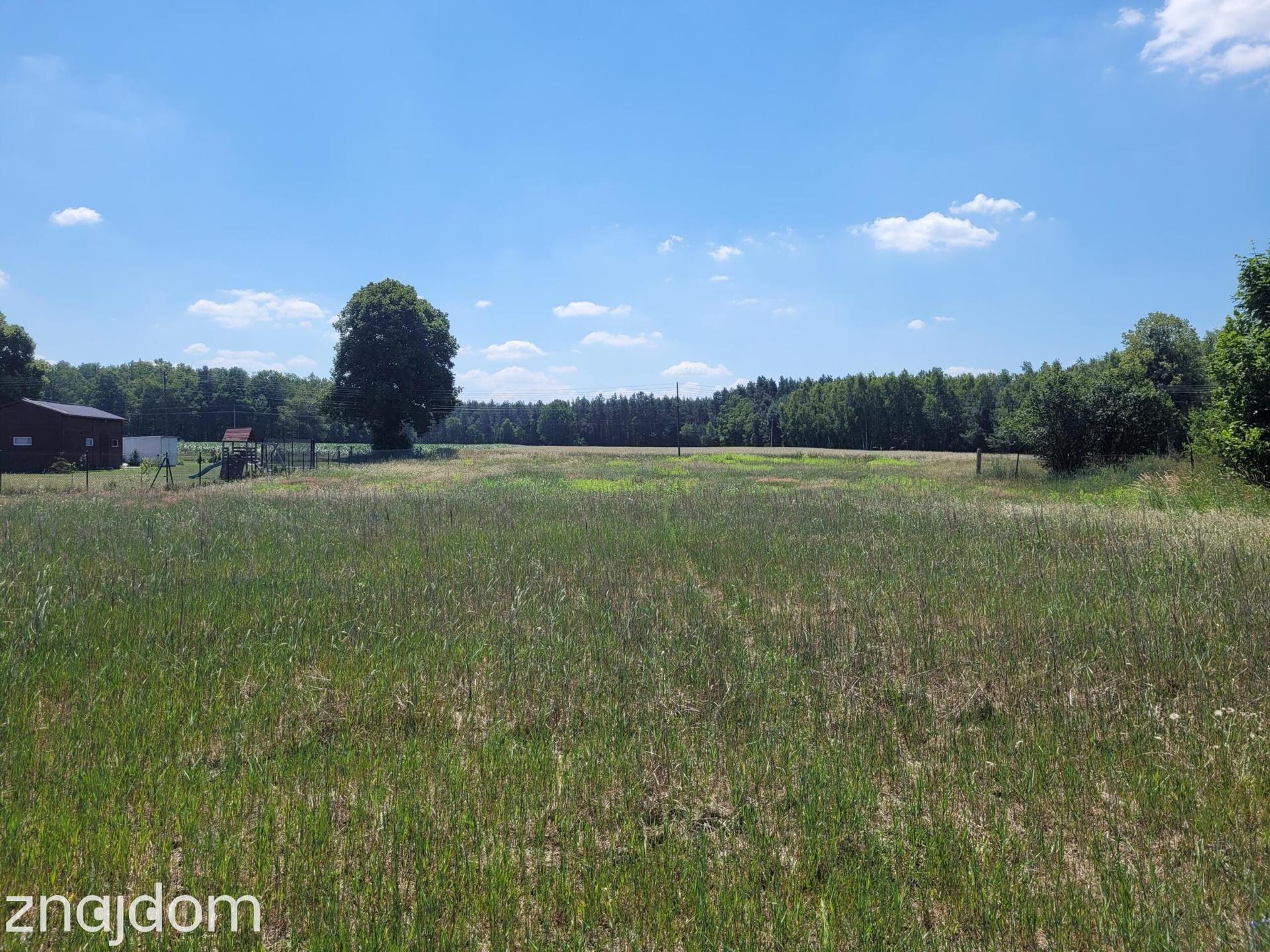 Łomnica k/Olesna - ponad 17 arów - zdjęcie 3