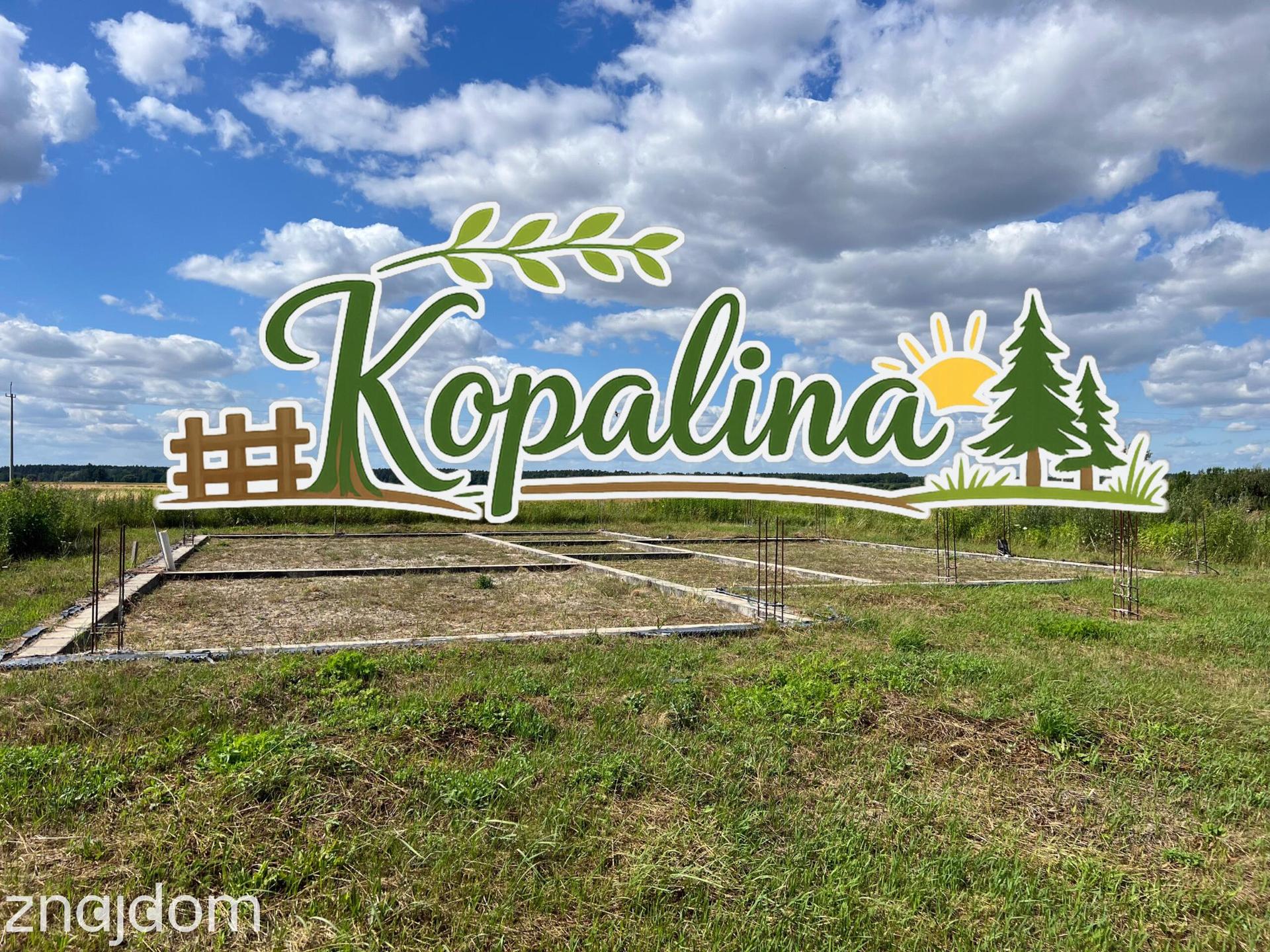 Gotowy projekt i rozpoczęta budowa — działka 5865 m², Kopalina