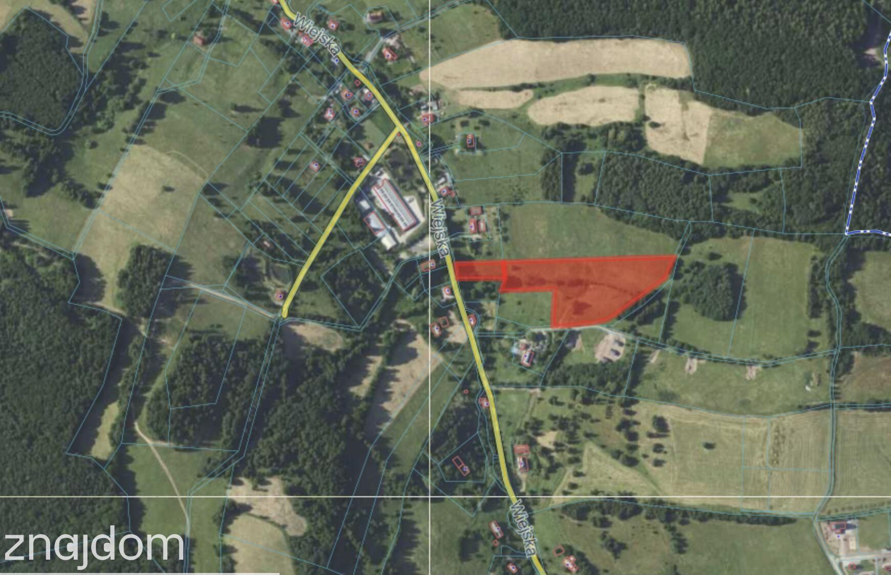 1,90 ha w Górach Sowich | pozwolenie na budowę | Michałkowa - zdjęcie 5