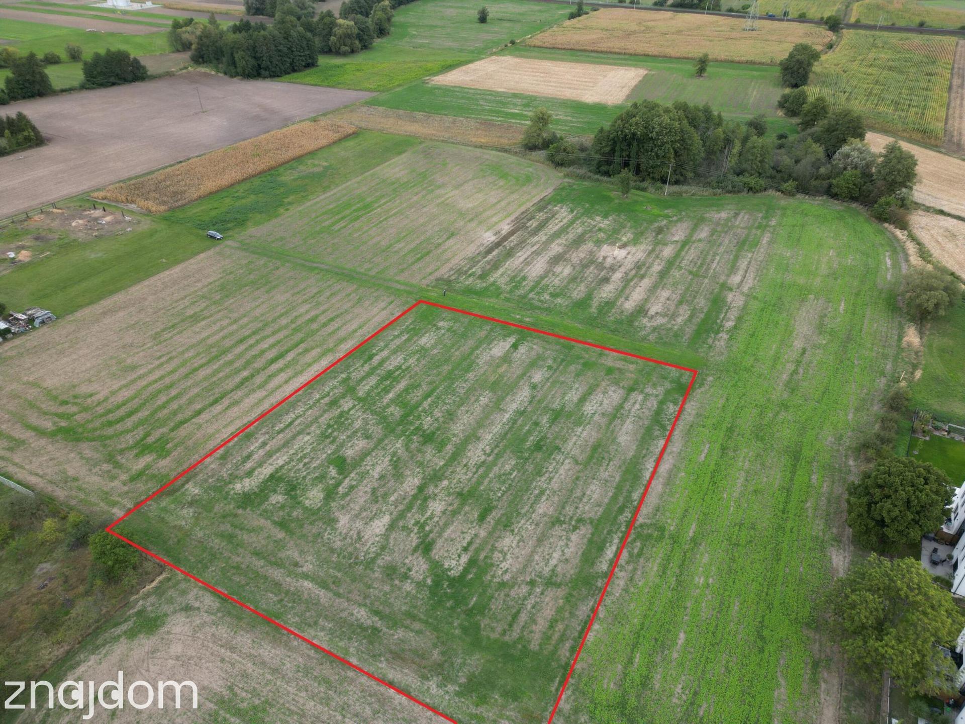 2 działki | 50 a | Opole-Żerkowice | MPZP | 62 x 80 m - zdjęcie 5