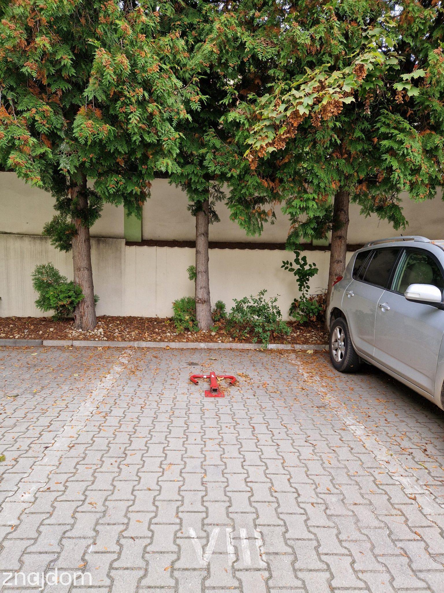 Miesjce parkingowe przy ul.Kołłątaja - zdjęcie 4