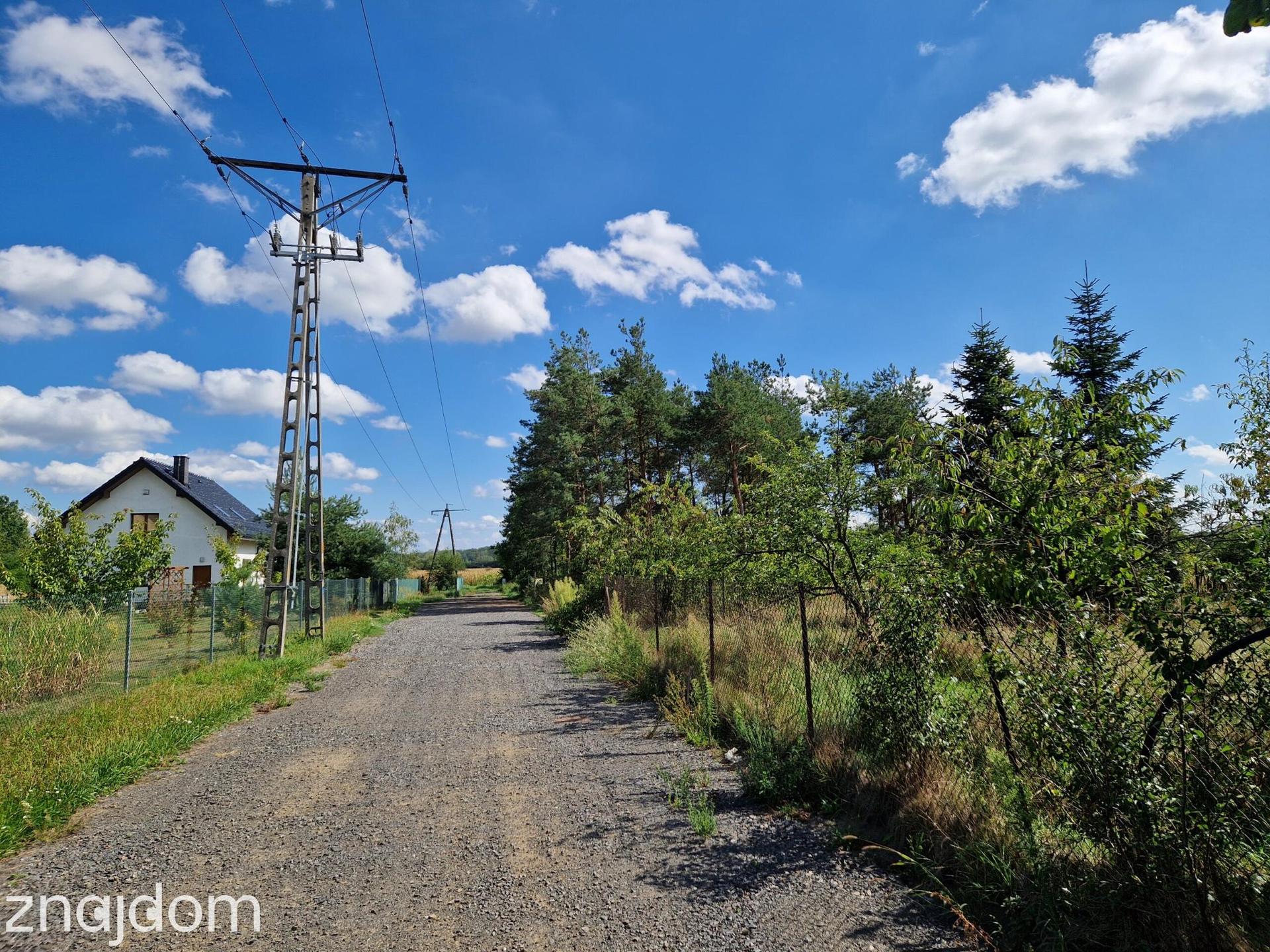 Działka granicząca z laskiem-Opole Chmielowice - zdjęcie 5