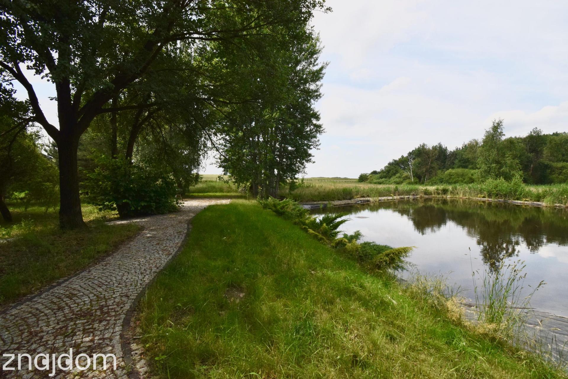 Enklawa pod Opolem |Dom po remoncie prywatny staw 1,18 ha Bez Prowizji - zdjęcie 6