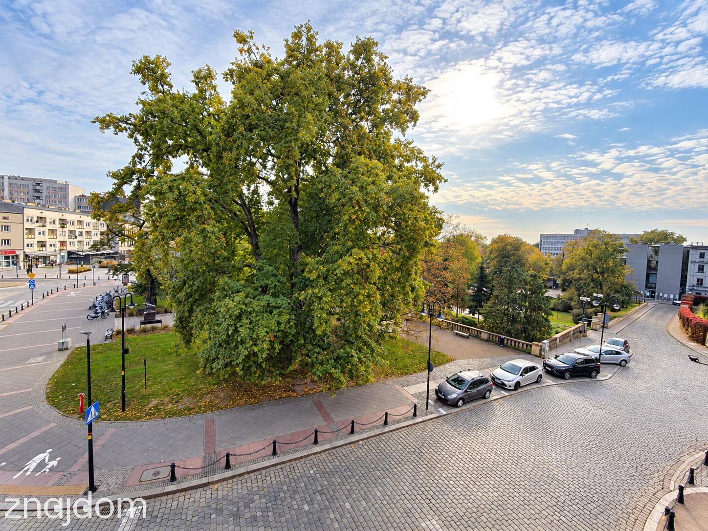 Lokal biurowy 13 m² z klimatyzacją przy Placu Wolności w Opolu - zdjęcie 2