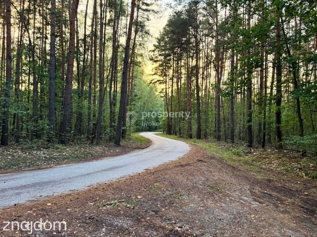 Działka budowlana | 3400m2 WZ | Budy Michałowskie - zdjęcie 6