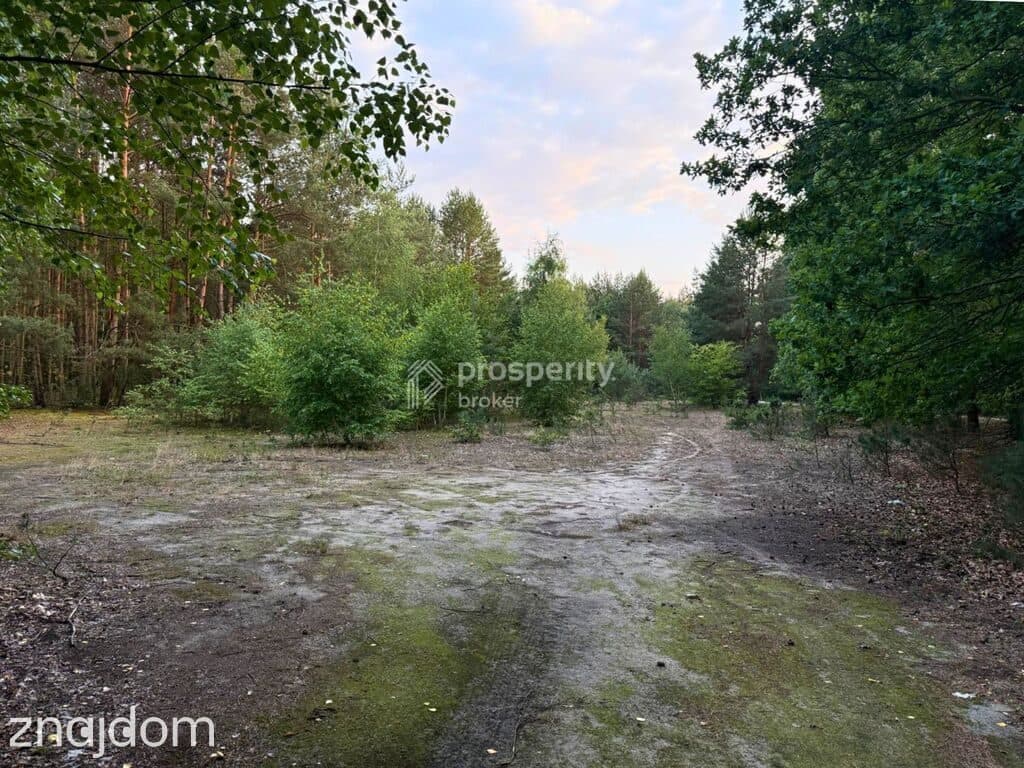 Działka budowlana | 3400m2 WZ | Budy Michałowskie - zdjęcie 3