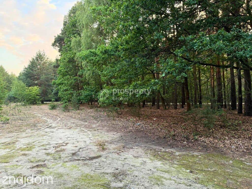Działka budowlana | 3400m2 WZ | Budy Michałowskie - zdjęcie 4