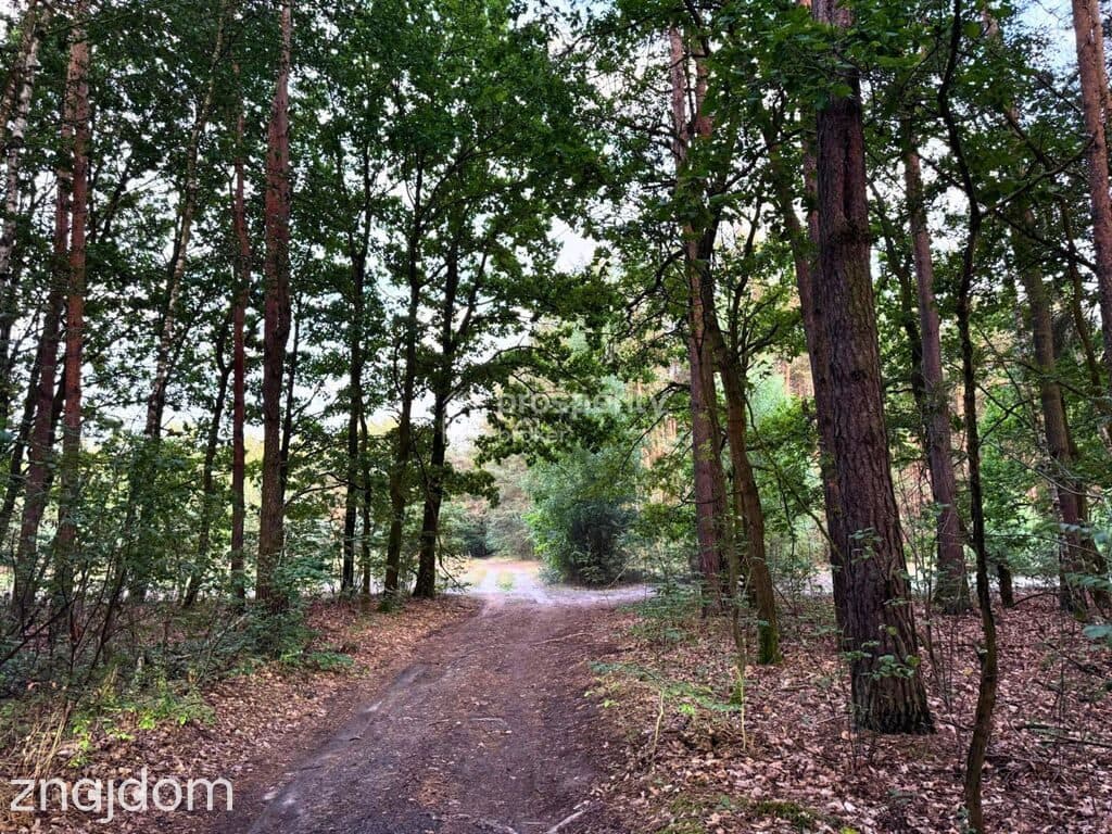 Działka budowlana | 3400m2 WZ | Budy Michałowskie - zdjęcie 5