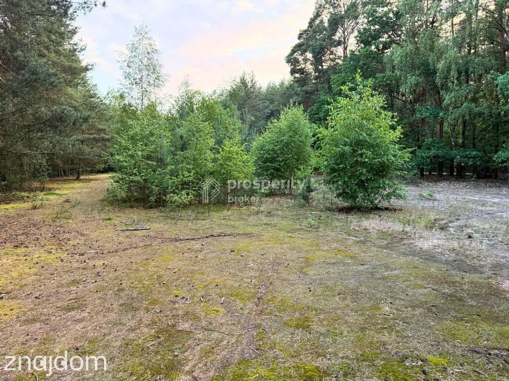 Działka budowlana | 3400m2 WZ | Budy Michałowskie - zdjęcie 2