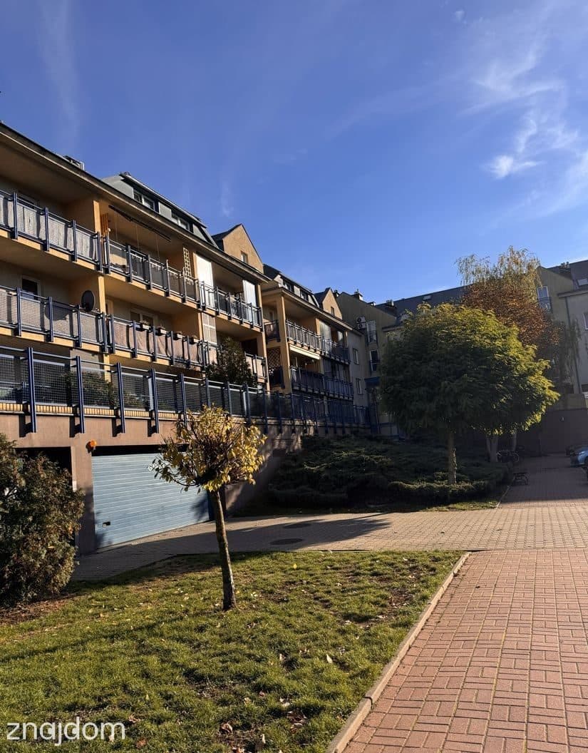 3 pokoje | Zacisze | po remoncie | antresola - zdjęcie 11