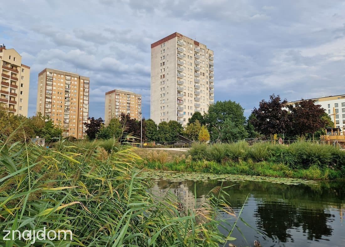 Balaton | Piękny widok | parking za szlabanem - zdjęcie 17