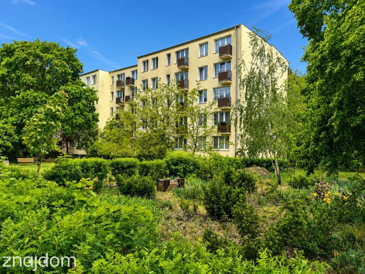 Zielona Sadyba | 2 pokoje | piwnica | 39m2 - zdjęcie 12