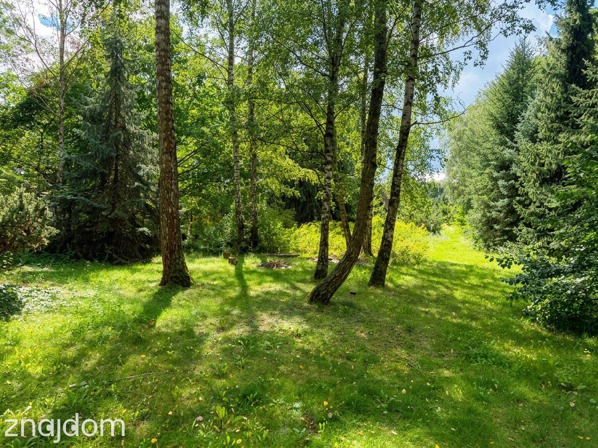 Prywatna leśna enklawa pod Warszawą | 2800 m² - zdjęcie 18