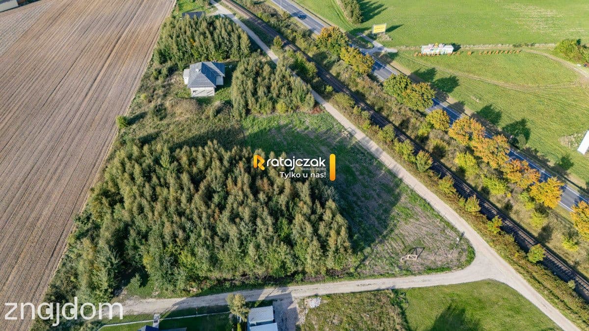 Działka 1001 m² | Widok w kierunku Zatoki Puckiej - zdjęcie 2