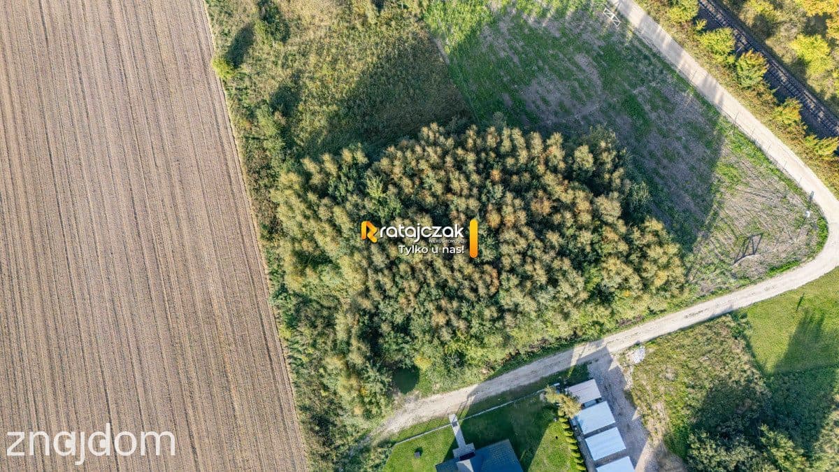 Działka 1001 m² | Widok w kierunku Zatoki Puckiej - zdjęcie 4