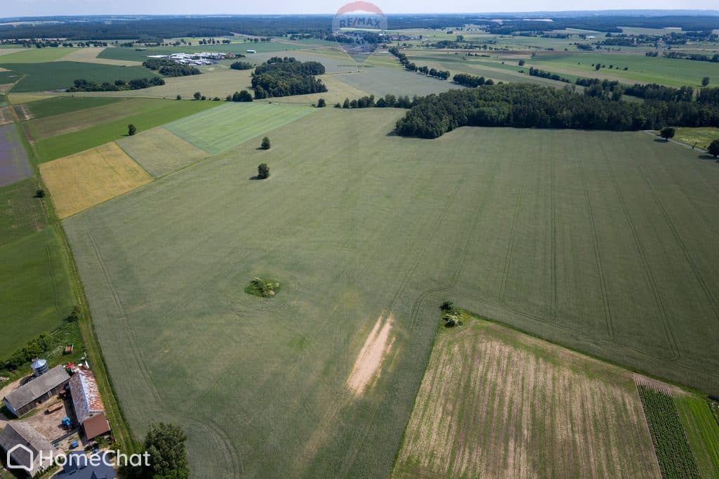 9,01 ha | MPZP: produkcja, logistyka | 1 km od S7