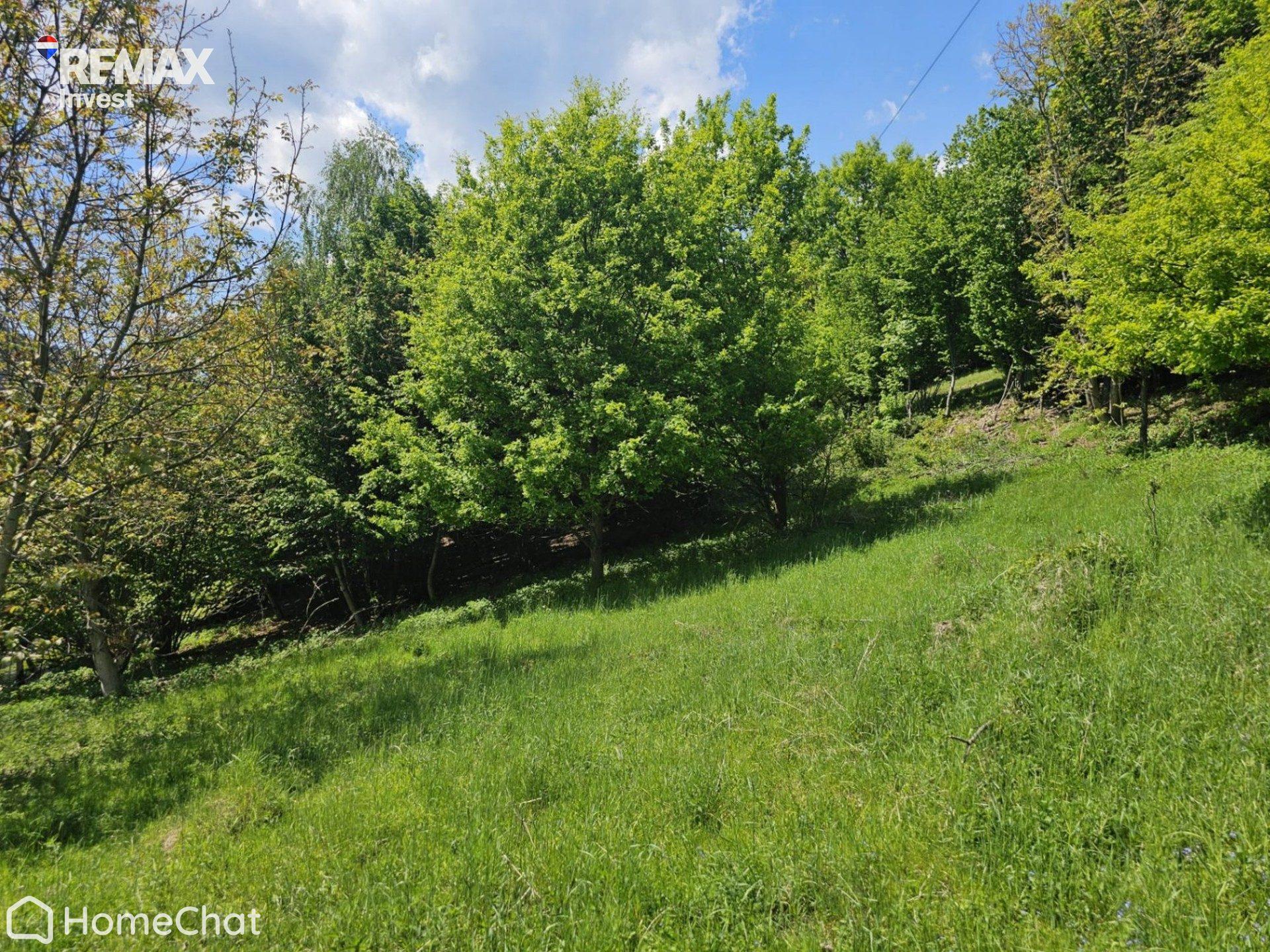 Dom w Tresnej z dużą działką 6 421 m²