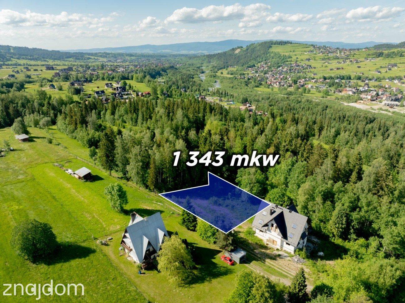 Działka przy ul. Wierch Głodowski Bukowina Tatrzańska 1343m2 - zdjęcie 3