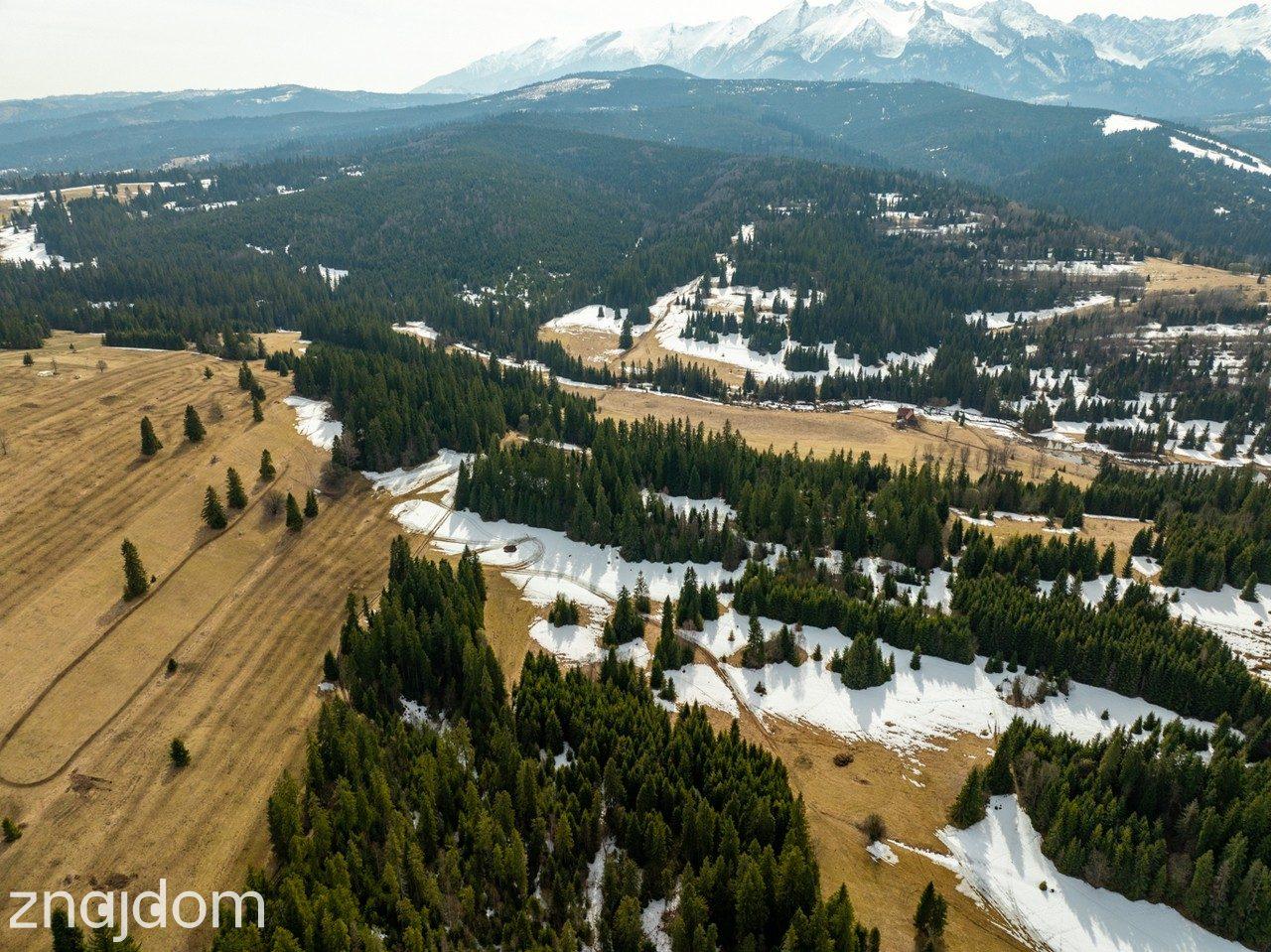Działki rolne w Rzepiskach 3830m2 - zdjęcie 13