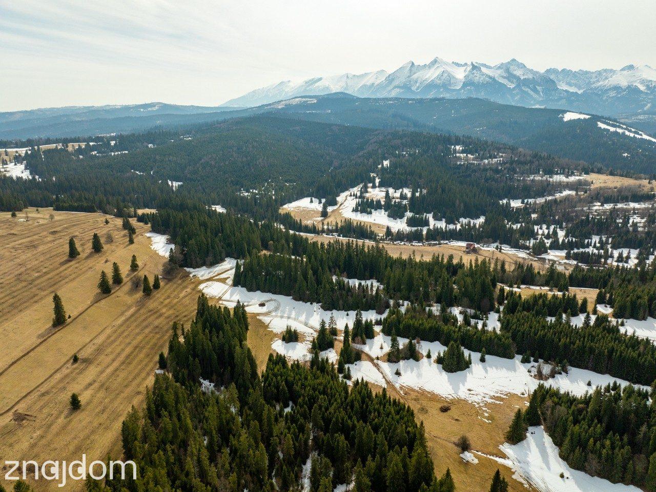 Działki rolne w Rzepiskach 3830m2 - zdjęcie 14