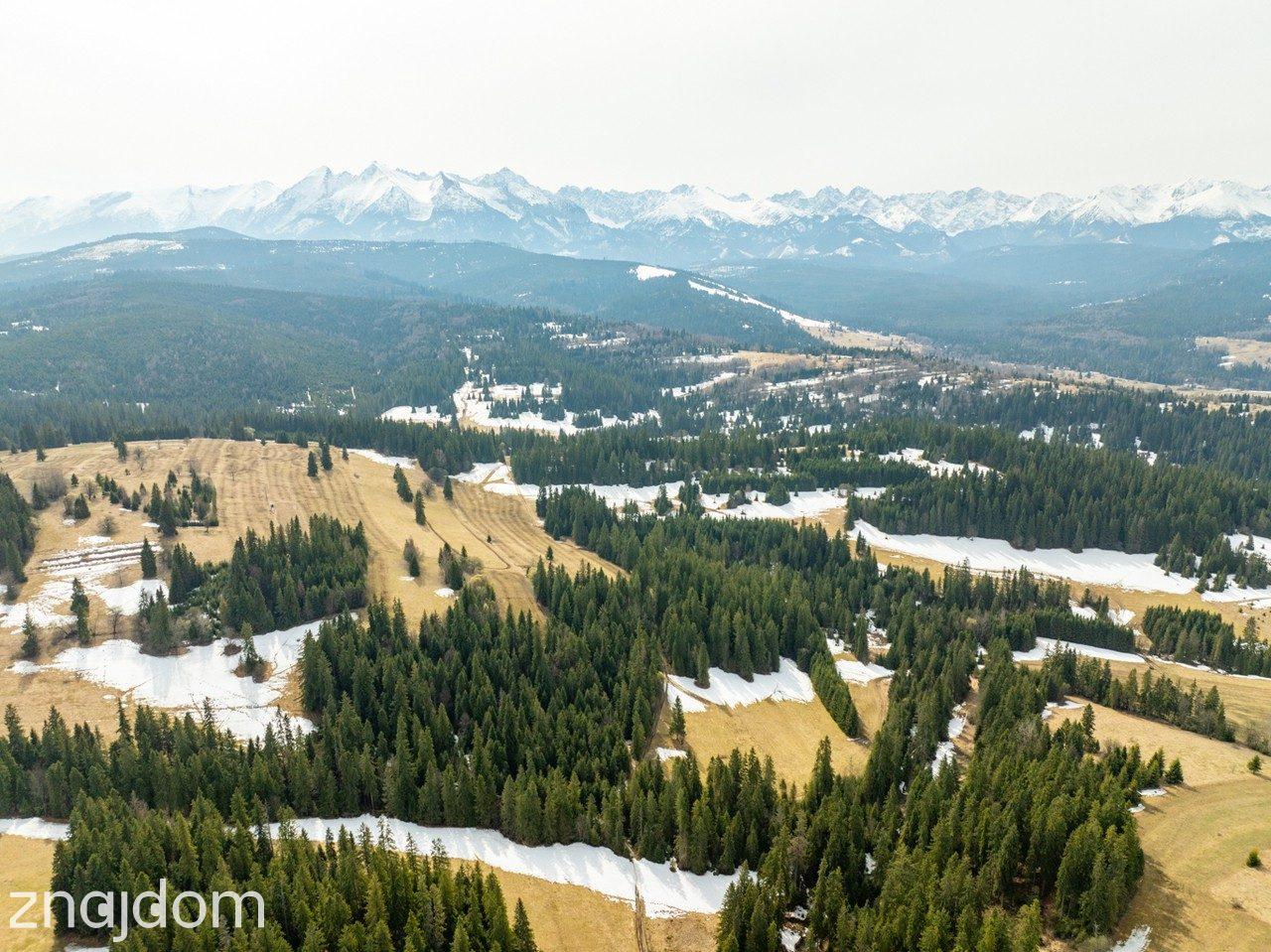 Działki rolne w Rzepiskach 3830m2 - zdjęcie 23