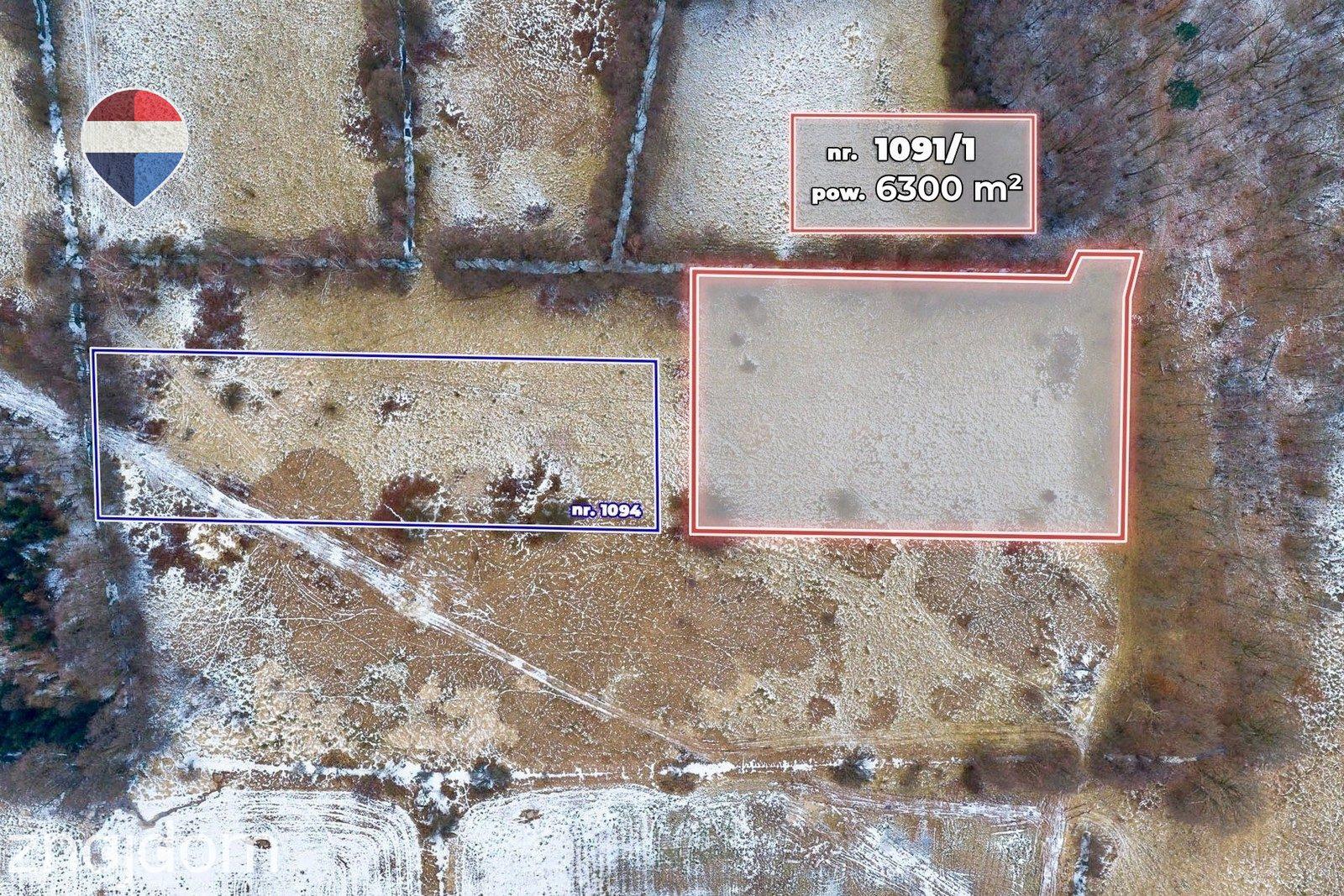 Działka rolna o pow. 6300 m² - zdjęcie 10