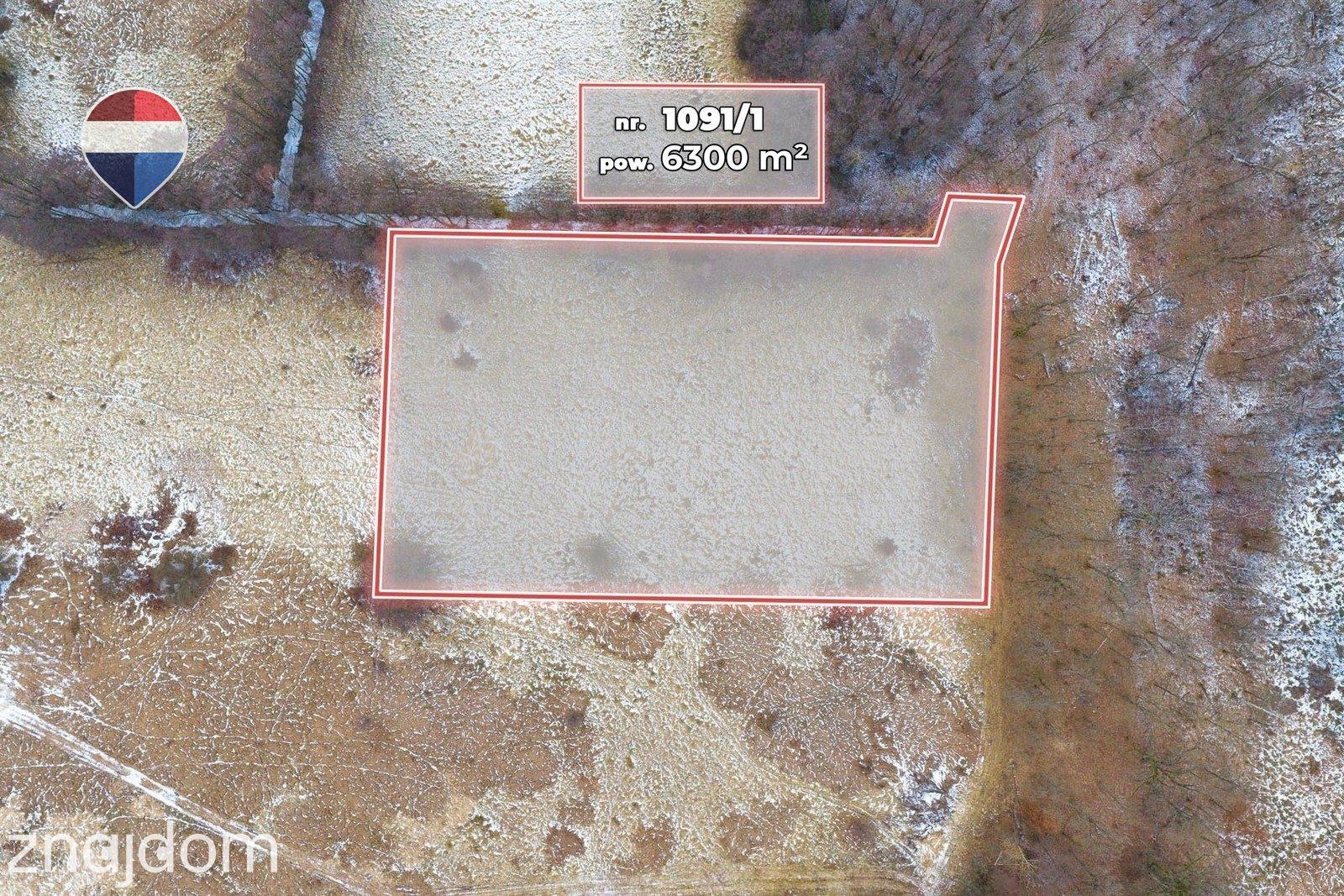 Działka rolna o pow. 6300 m² - zdjęcie 11