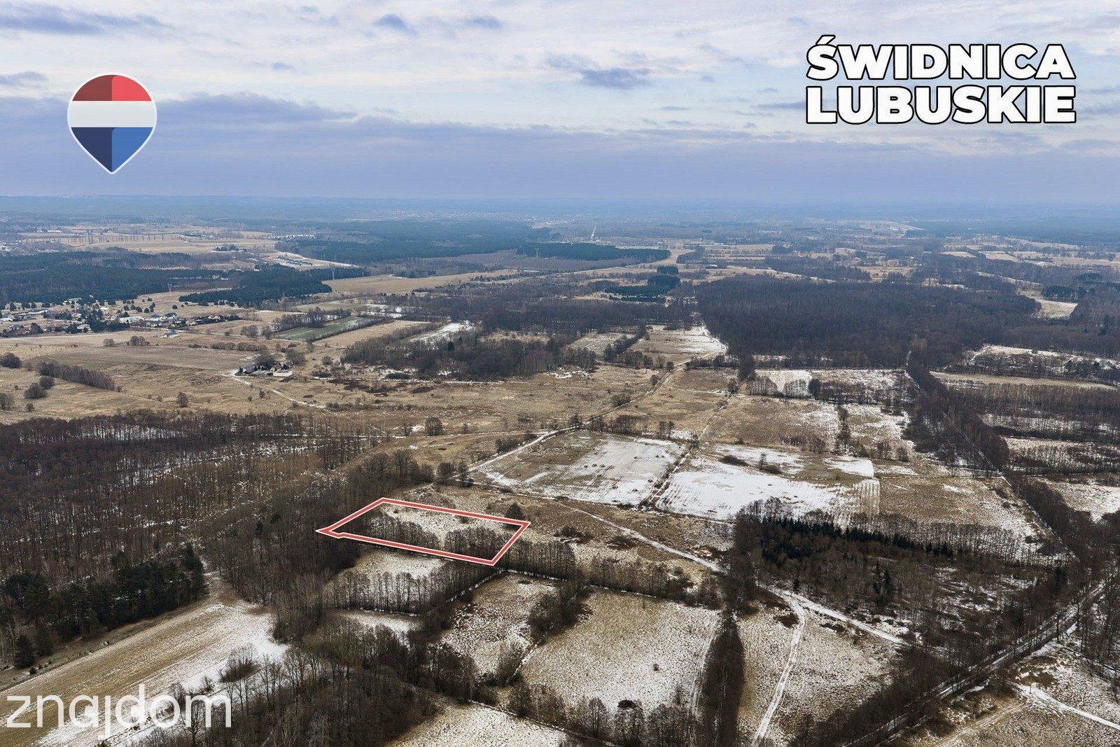 Działka rolna o pow. 6300 m² - zdjęcie 15