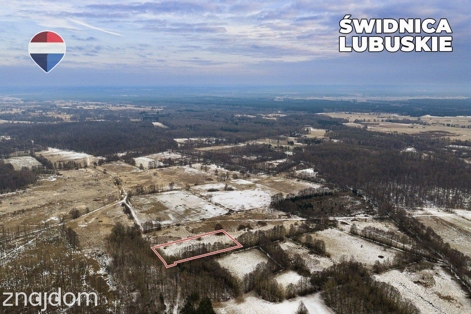 Działka rolna o pow. 6300 m² - zdjęcie 16
