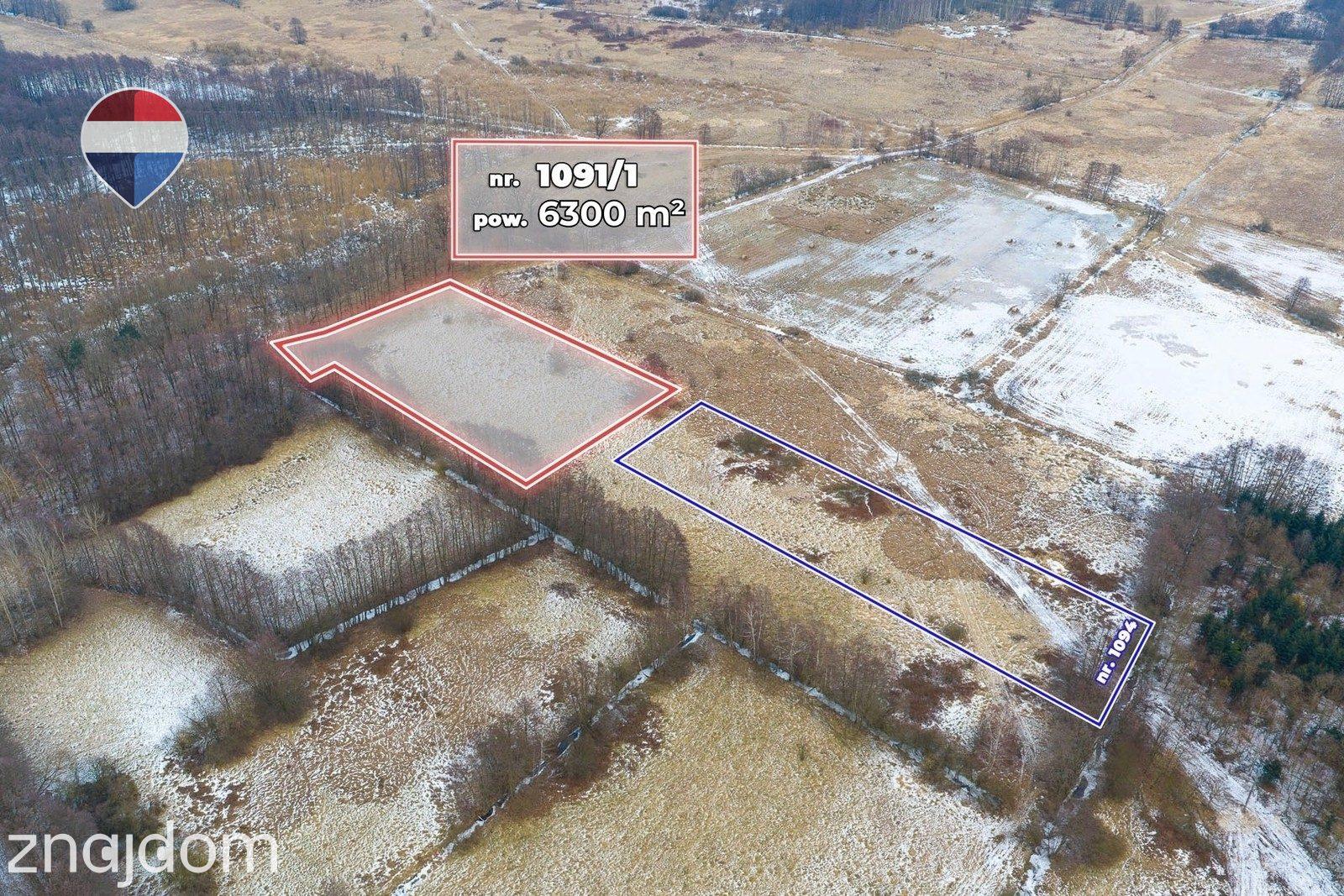 Działka rolna o pow. 6300 m² - zdjęcie 3