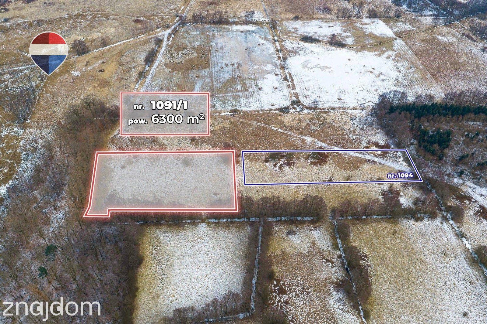 Działka rolna o pow. 6300 m² - zdjęcie 4
