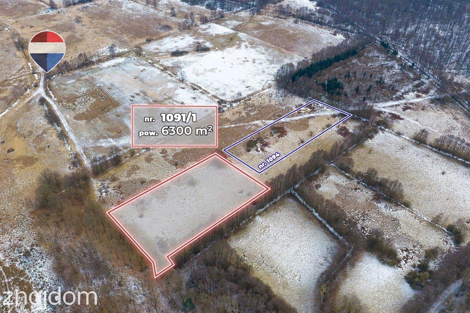 Działka rolna o pow. 6300 m² - zdjęcie 5