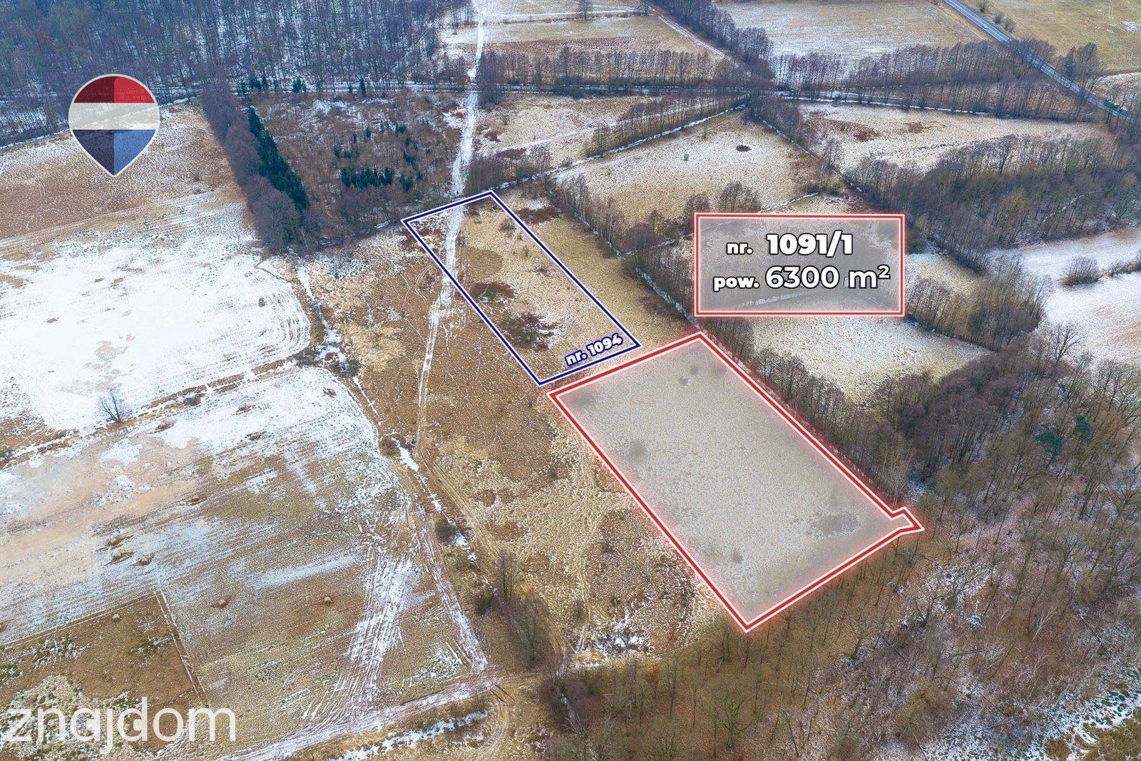 Działka rolna o pow. 6300 m² - zdjęcie 7